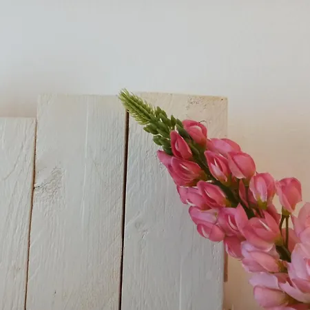 Casetta Ruscitti * אורטונה