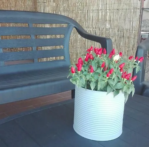 Vakantiehuis Casetta Ruscitti Ortona