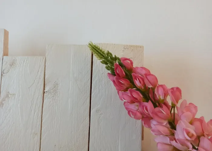 Casetta Ruscitti * Ortona